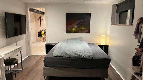 a bedroom with a bed and a desk and a sink at Lyst & Moderne Hus in Tórshavn