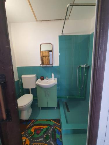 a green bathroom with a toilet and a sink at Casa La Casiru 6 nature in Straja