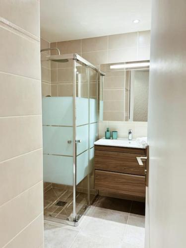 une salle de bain avec douche et lavabo dans l'établissement T2 4 personnes proche des plages, à Saint-Raphaël