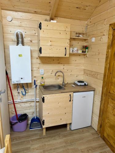a kitchen with a sink in a wooden cabin at Golden Carp Lake in Donji Petrovci