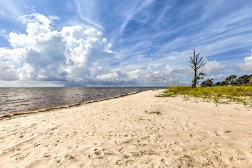 a sandy beach with a tree in the middle of the water at Beach and Pool Access Peaceful St Teresa House in Big Blackjack Landing