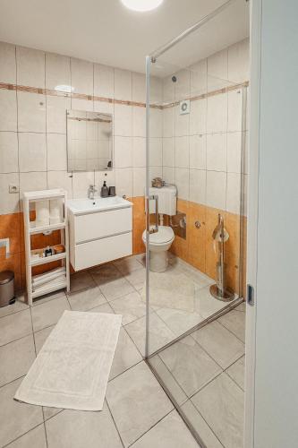 a bathroom with a toilet and a sink at Andrea&Goran in Selce