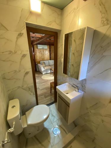a bathroom with a white toilet and a sink at Flowers Cabin in Valjevo