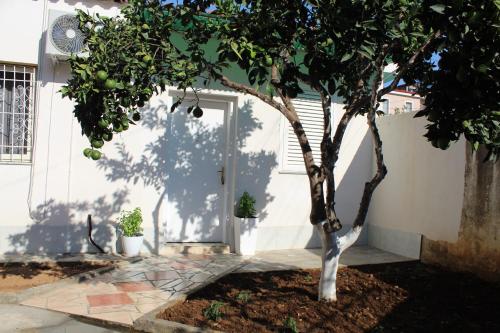 Orange Grove Retreat