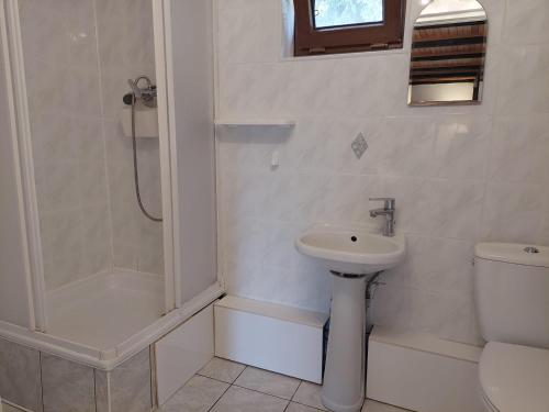 a bathroom with a shower and a toilet and a sink at Domek nad jeziorem, łódka, kajak in Zalewo