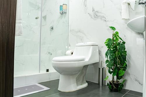 a bathroom with a white toilet and a plant at Home 333 habitacion 336 in Escazu