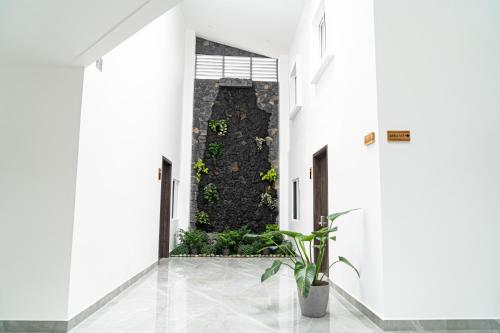 a hallway with white walls and a plant at Home 333 habitacion 336 in Escazu
