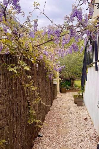 Une allée avec des fleurs violettes sur un mur dans l'établissement Douceur de vivre, à Neuilly-Plaisance