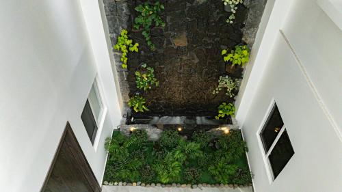 an overhead view of an indoor garden with plants at Home 333 habitacion 336 in Escazu