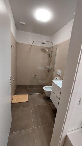 a bathroom with a toilet and a sink and a shower at Apartman Anka in Komin