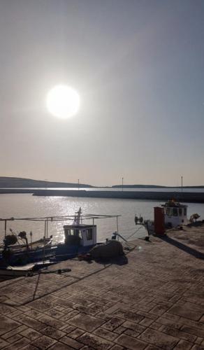a group of boats docked at a dock on the water at Seafront & Sunsets Sigri House in Sígrion
