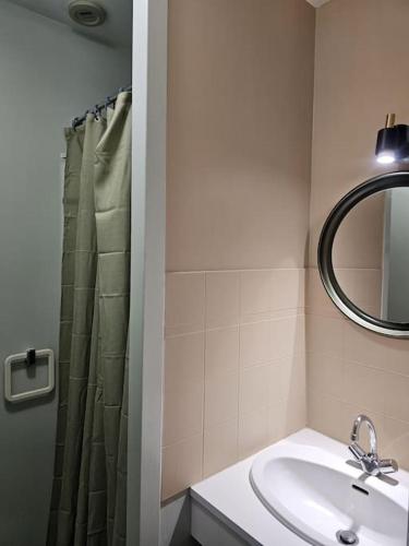 une salle de bain avec un lavabo, un miroir et une douche dans l'établissement Charmant studio à Tours, à Tours