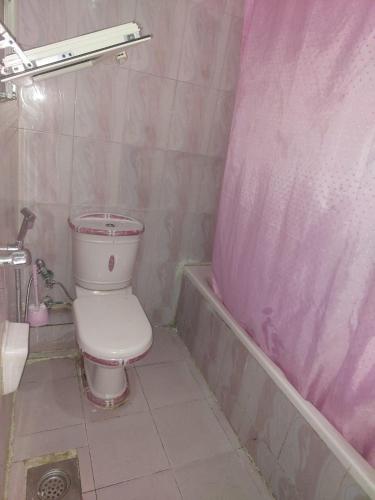 ein Badezimmer mit Toilette und Badewanne in der Unterkunft شقه مفروشة علي البحر عائلات فقط in Alexandria