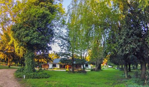 a group of trees in a park with a house at Hostal HM in Lautaro