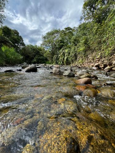 a river with rocks and trees in the background at Ilusion Cabaña La Florida in Pereira