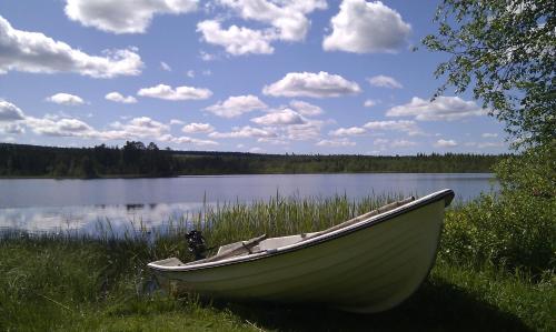 a boat sitting on the shore of a lake at Borgvattnets B&B en Budget Hotel in Borgvattnet
