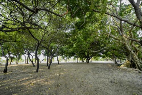 a park with a lot of trees and dirt at Adaar in Trincomalee
