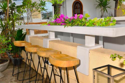 a row of tables with chairs in front of them at Hostal Talamanca in Talamanca
