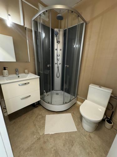 une salle de bain avec douche et toilettes dans l'établissement Appartement 30m2 centre ville, à Saint-Cyr-sur-Loire