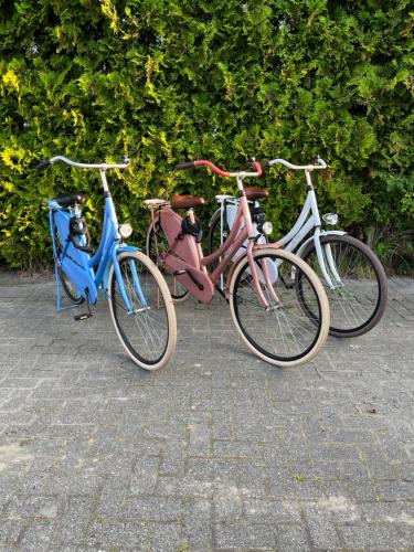 a group of three bikes parked next to each other at Chalet Buitenhof 45A in Oegstgeest
