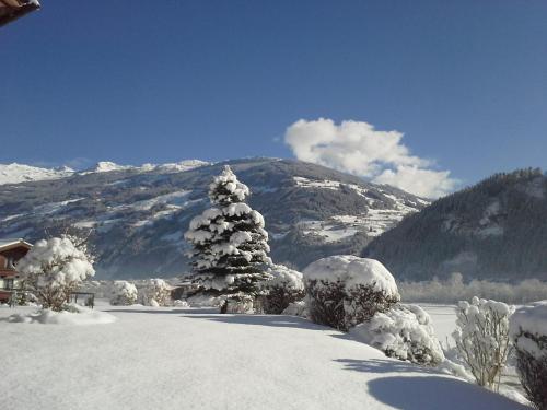 a snow covered christmas tree on top of a mountain at Huaterhof in Zell am Ziller