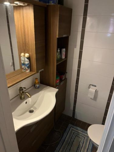 a bathroom with a sink and a shower at Sweet House with Sauna in Lieto