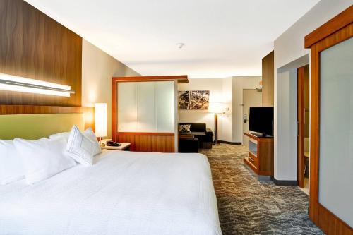 a hotel room with a bed and a television at SpringHill Suites By Marriott Columbia Fort Meade Area in Columbia