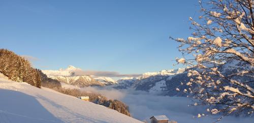 a view of a snow covered mountain with a valley at Haus Mura in Blons