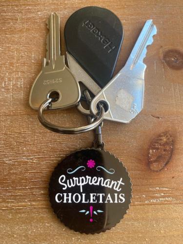 Une chaîne de clés avec une marque de voiture sur celle-ci dans l'établissement AU CHOLETAIS - APPARTEMENT 50m2 DECO ORIGINALE - HYPER CENTRE - 24 MN PARC DU PUY DUFOU, à Cholet