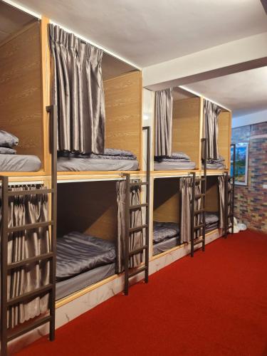 three bunk beds in a room with a red carpet at Sapa Garden Hostel in Lao Cai