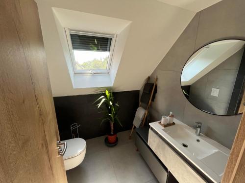 a bathroom with a sink and a toilet and a mirror at Gîte des rossignols proche d Obernai avec jardin 4 adultes in Bischoffsheim