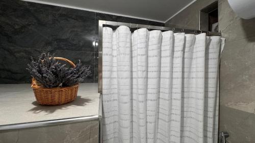 a shower curtain in a bathroom with a plant at Mezini Guest House in Gjirokastër