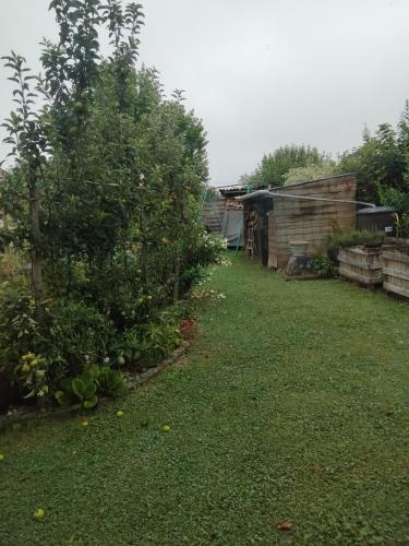 a yard with a house and a tree at Les stands 4 chambres - lits doubles in Teloché