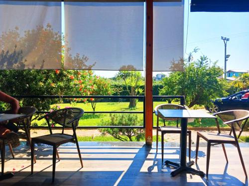 Fotografie z fotogalerie ubytování Hotel Karavastaja v destinaci Divjakë