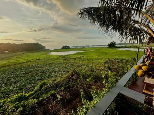 a view of a golf course with a coconut tree at Bến Hồ Homestay in Xã Gia Tân