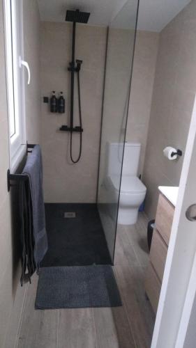 a bathroom with a shower with a toilet and a sink at La Floresta Suite in Sant Cugat del Vallès