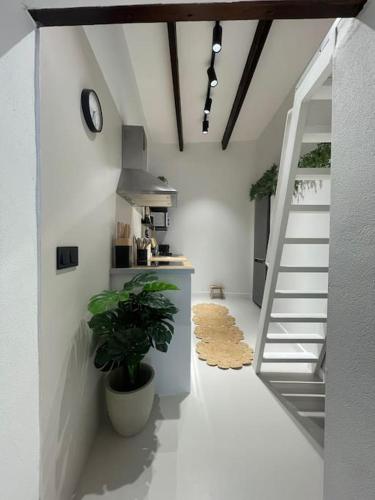 Stylish City-Center Apt 2 Bdrms