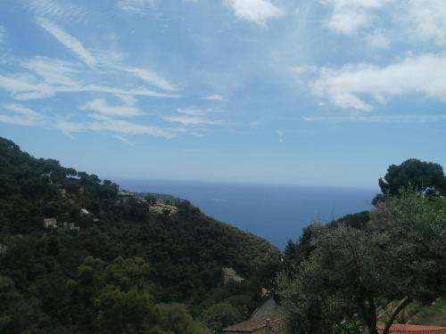a view of a hill with trees on it at Monaco' hills appartement in Roquebrune-Cap-Martin
