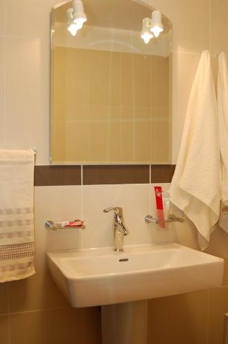 プレデアルにあるSimon Apartmentのバスルーム(鏡付き白い洗面台付)