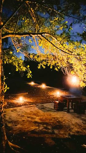 a picnic table in a park at night with lights at River paradise safari house with cooking class in Udawalawe