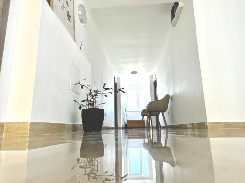 Fotografie z fotogalerie ubytování Vila Eric v destinaci Eforie Sud