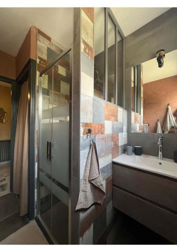 une salle de bain avec un lavabo et une douche dans l'établissement Reflets de montagnes, à Chambéry