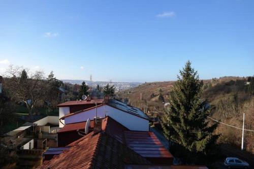 Un grupo de techos de casas con un árbol. en Apartment Trojska, en Praga