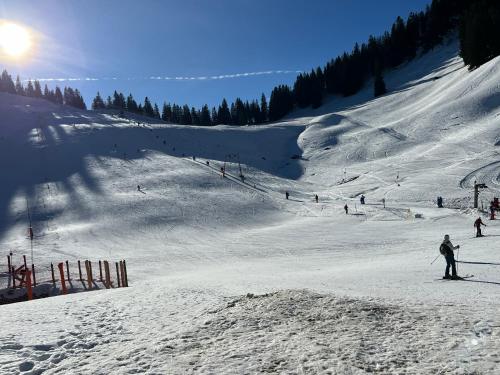 a group of people skiing down a snow covered slope at Untere Firstalm in Schliersee