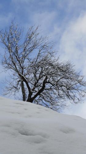 Appartement Neumann en invierno