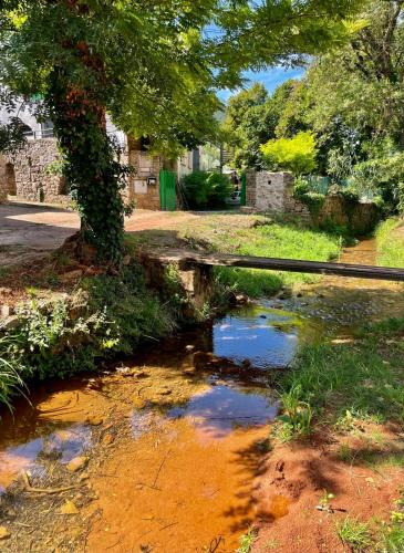 Φωτογραφία από το άλμπουμ του Moulin Gaillard Chambres et Table d'Hotes σε Bedarieux