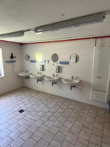 Bilik mandi di Ferienheim Mosbach