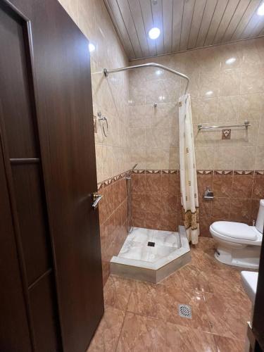 a bathroom with a shower with a toilet and a sink at LARGE 5 BEDROOM LUXURY VILLA in Yerevan