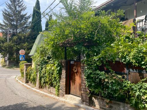a building with a wooden door on the side of a street at Apartment Jancic in Smederevo