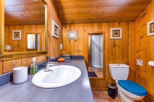 une salle de bain avec un lavabo et des toilettes dans l'établissement Chalet Puy-Saint-Pierre avec vue, à Puy-Saint-Pierre